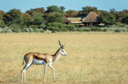 Botswana - Kalahari Plains Camp Wilderness