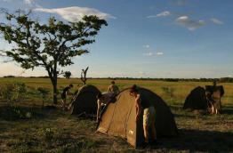 Botswana - Safaris Les hyènes de Liuwa Plains et extension Okavango