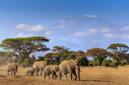 Kenya - Amboseli ©Shutterstock, gil k