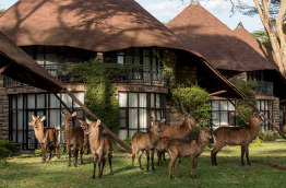 Kenya - Lake Naivasha - Naivasha Sopa Lodge