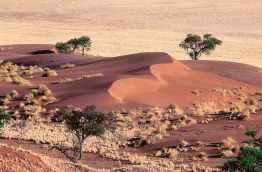 Namibie - Parc national Namib-Naukluft - Desert du Namib - Namibia Tourism Board 