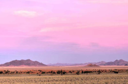 Namibie - Réserve naturelle de Namibrand - Toktokkie Trails