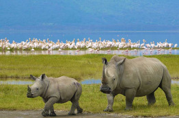 Tanzanie - Ngorongoro © Shutterstock, jessica bethke