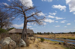 Tanzanie - Ruaha - Ruaha River Lodge