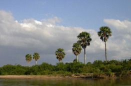 Tanzanie - Selous - Rufuji River Camp