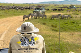 Tanzanie - Cratère du Ngorongoro