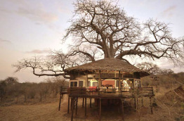 Tanzanie - Flying-safari Elewana - Tarangire Treetops
