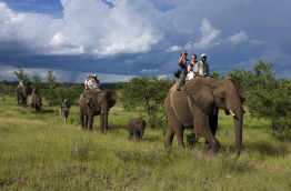 Zimbabwe - Chutes Victoria - Elephant Camp