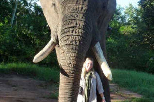Afrique du Sud - Hazyview - Rencontre et balade avec les éléphants au coucher de soleil 