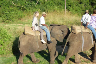 Afrique du Sud - Hazyview - Réveil des éléphants, rencontre et balade