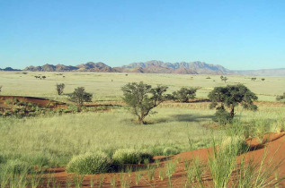 Namibie - safari bivouac - Southern swing safari