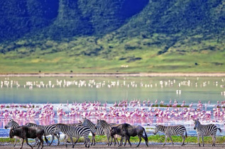 Tanzanie - Ngorongoro ©Shutterstock, travel stock
