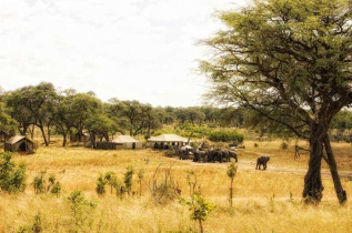 Zimbabwe - De Hwange à Chobe en version charme - Somalisa Expedition