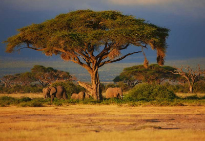 Carte  - Safari  combiné Kenya et Tanzanie en privatif