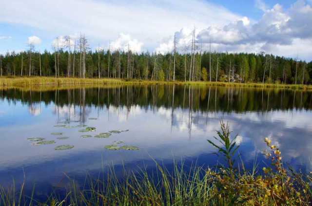 Finlande - Circuit Découverte de la région des lacs