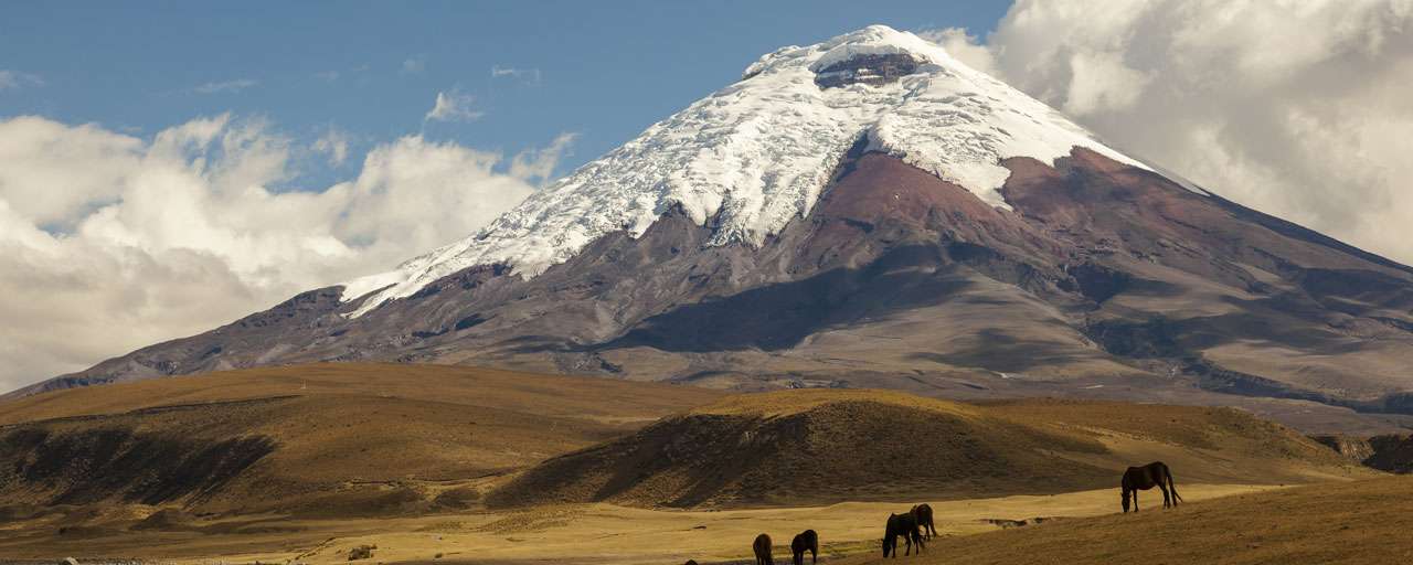 Volcan Cotopaxi © Shutterstock - Ecuadorpostales