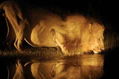 Botswana
Delta de l’Okavango