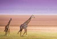 voyage safari en tanzanie