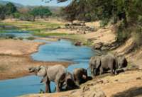 safari en famille tanzanie avis