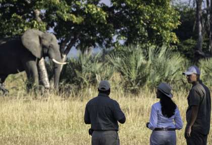 Safari à pied à Liwonde ©Kuthengo