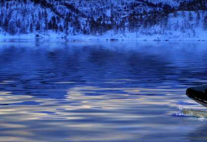 Orque de Tromso
