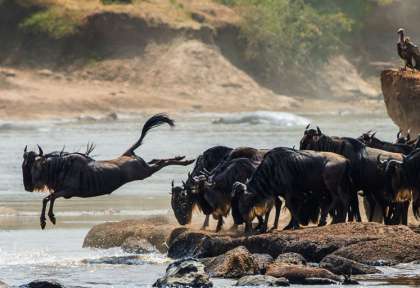 Quand il faut y aller ! © Shutterstock - Gudkov Andrey