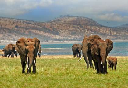 Lac Kariba