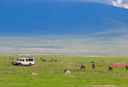 Safari 4x4 dans le cratère du Ngorongoro © Shutterstock - Blueorange Studio
