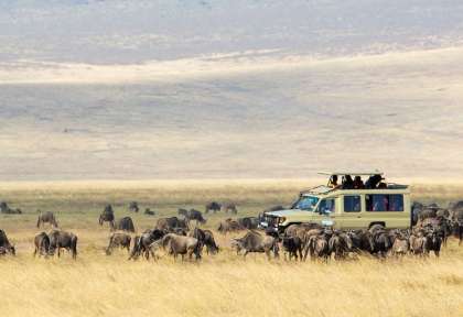 Au coeur de la migration © Shutterstock - Kjetil Kolbjornsrud
