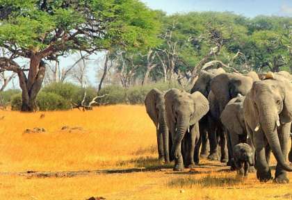 Afrique du Sud
Cape Town