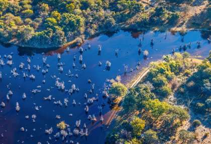 Delta de l’Okavango