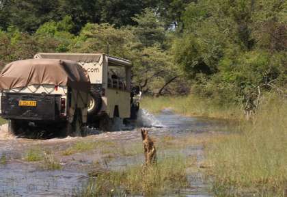 Safari bivouac au Botswana