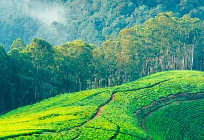 Rwanda - Butare Huye - Istock Eyeem Mobile Gmbh