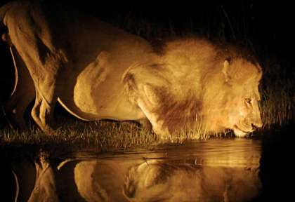 Botswana
Delta de l’Okavango