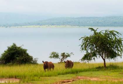 Rwanda - Parc national d’Akagera