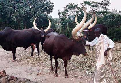 Rwanda - Nyanza