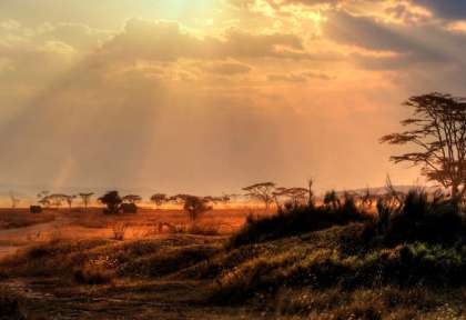 Coucher de soleil sur Kruger © Shutterstock - Chantal de Brujine