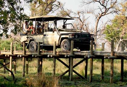 Des safaris variés et personnalisés