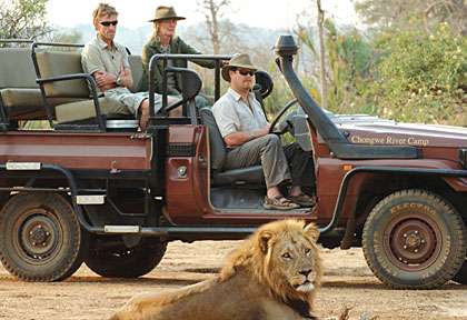 safari 4x4 au Lower Zambezi
