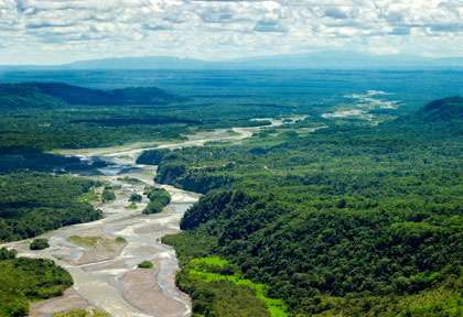 forêt d’Amazonie