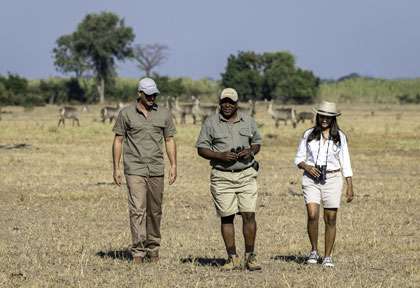 Safari à pied à Liwonde