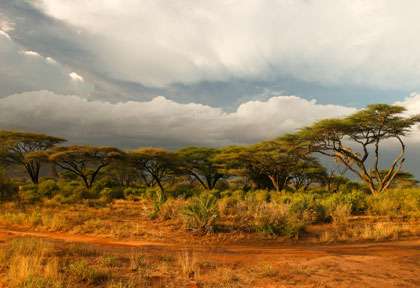 Paysage de Samburu