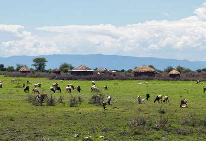 Village Masai en bordure de Manyara