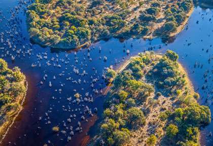 Delta de l’Okavango vu du ciel