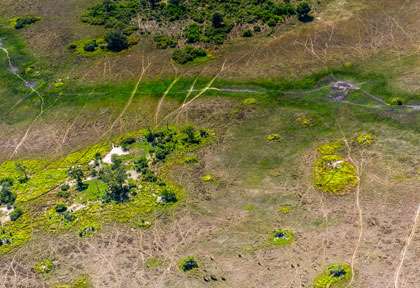 l’Okavango en saison sèche