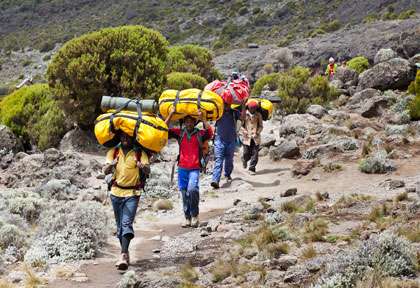 Porteurs pendant l’ascension du Kilimandjaro