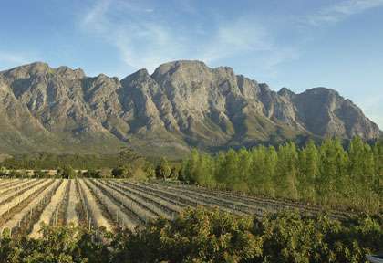 Franschhoek
