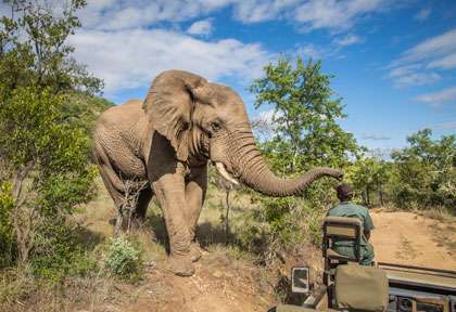 Tracker en réserve privée