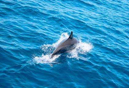 Kenya, Watamu ©Medina Palms