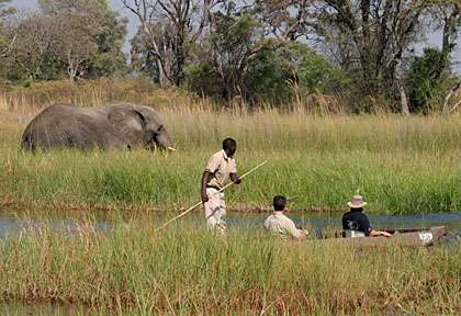 Mokoro dans le Delta de l’Okavango